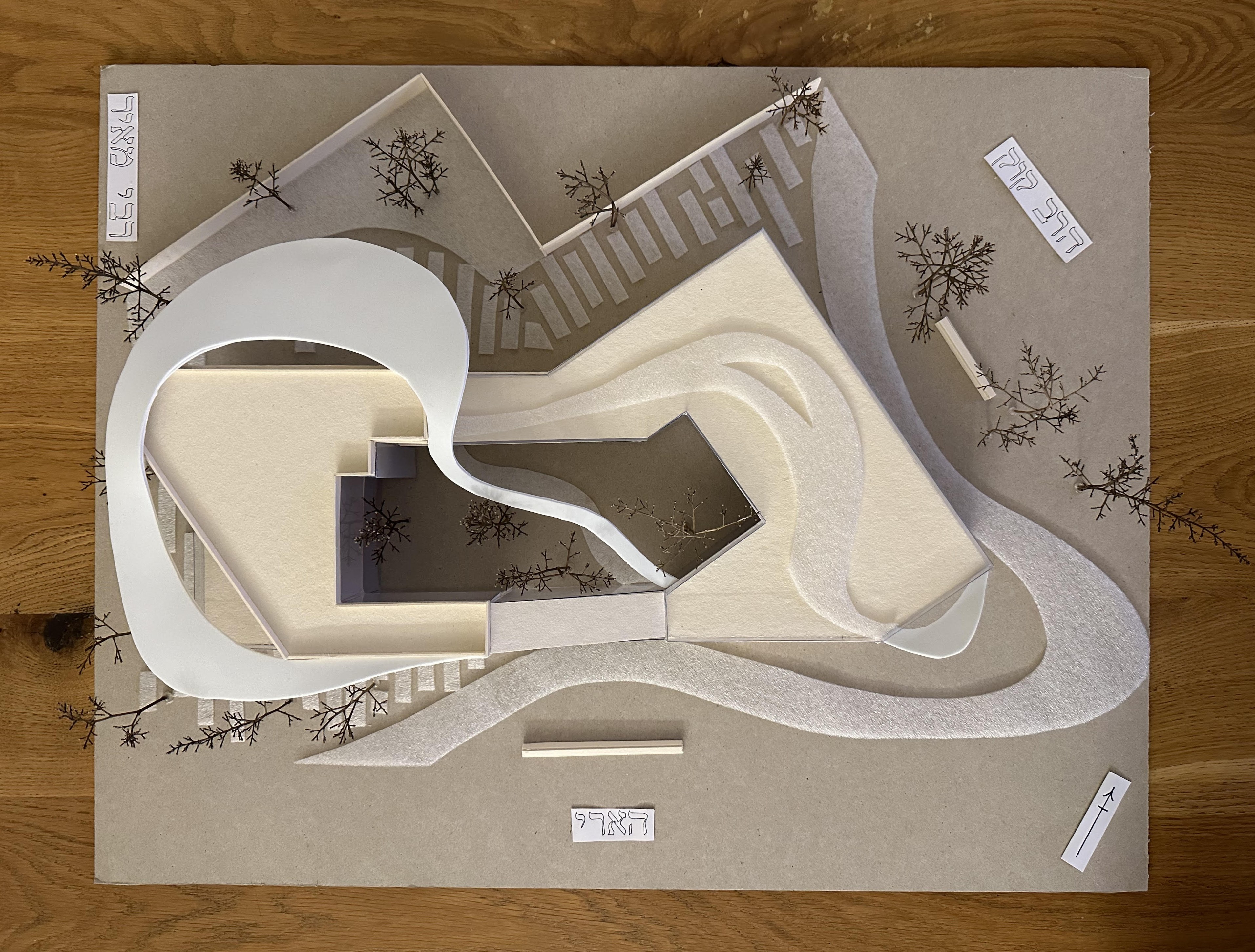 Harmony in the Kerem - Image 3