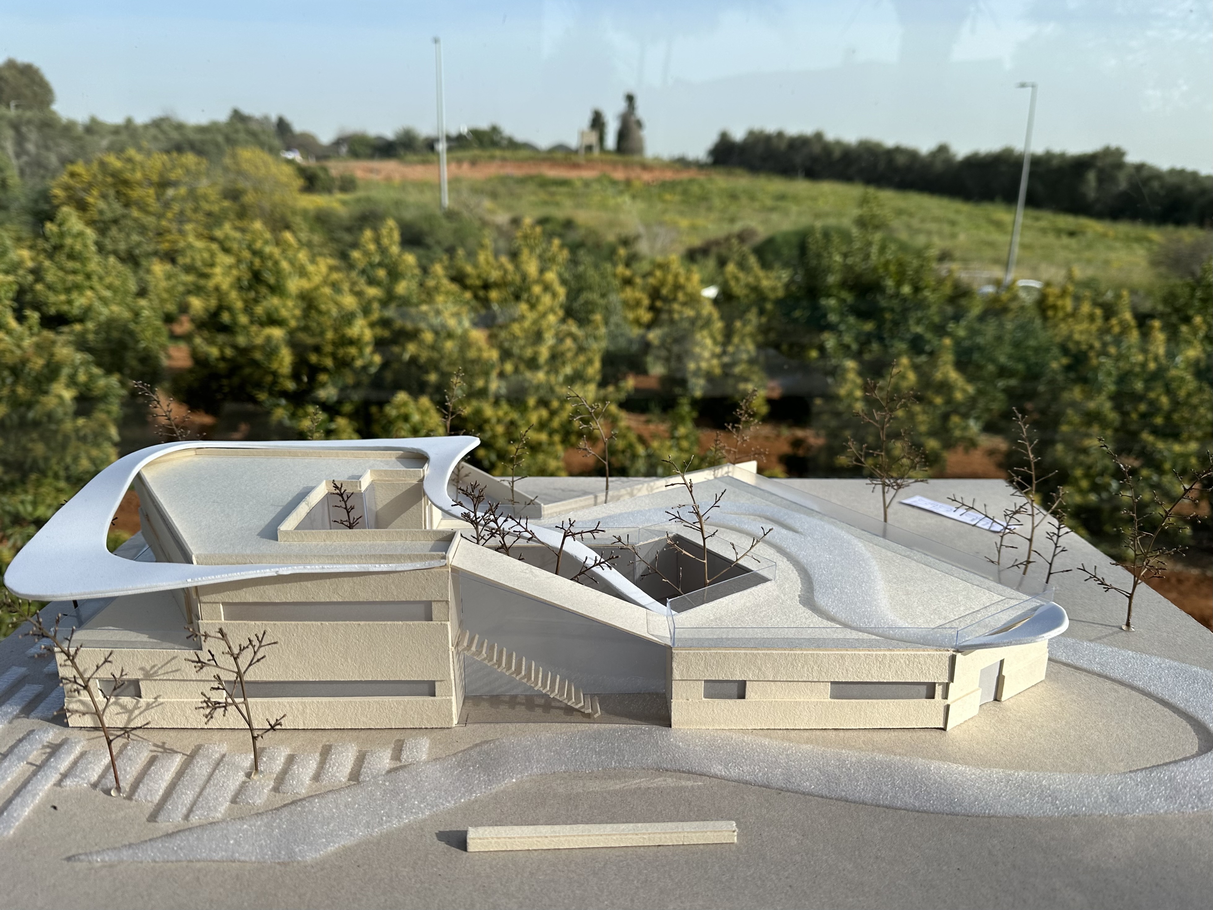 Harmony in the Kerem - Image 6