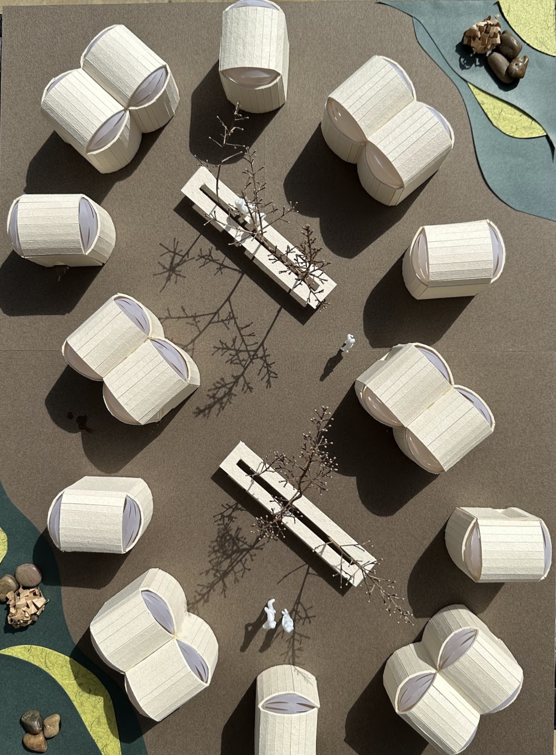 Human Shell - Image 6